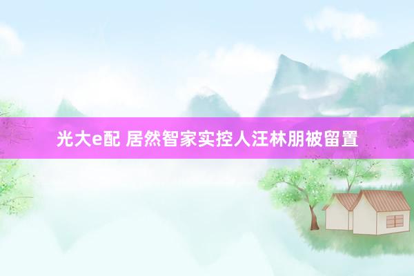 光大e配 居然智家实控人汪林朋被留置