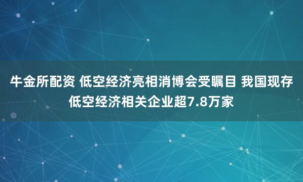 牛金所配资 低空经济亮相消博会受瞩目 我国现存低空经济相关企业超7.8万家