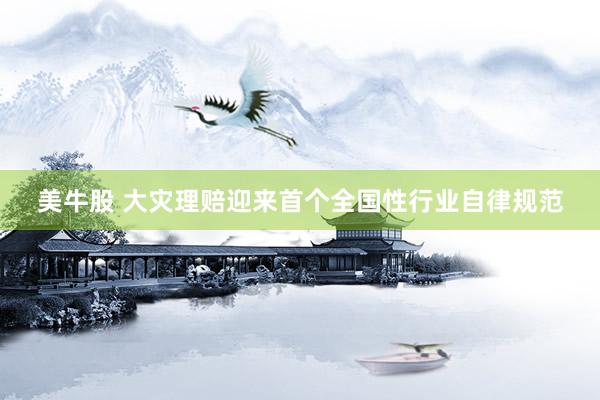 美牛股 大灾理赔迎来首个全国性行业自律规范