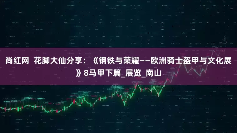 尚红网  花脚大仙分享：《钢铁与荣耀——欧洲骑士盔甲与文化展》8马甲下篇_展览_南山