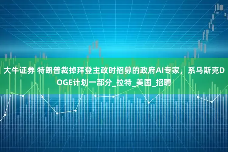 大牛证券 特朗普裁掉拜登主政时招募的政府AI专家，系马斯克DOGE计划一部分_拉特_美国_招聘