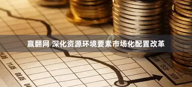 赢翻网 深化资源环境要素市场化配置改革