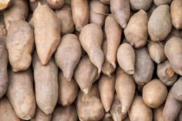 恒信期货 一种通便还超便宜的水果，我打赌你没吃过