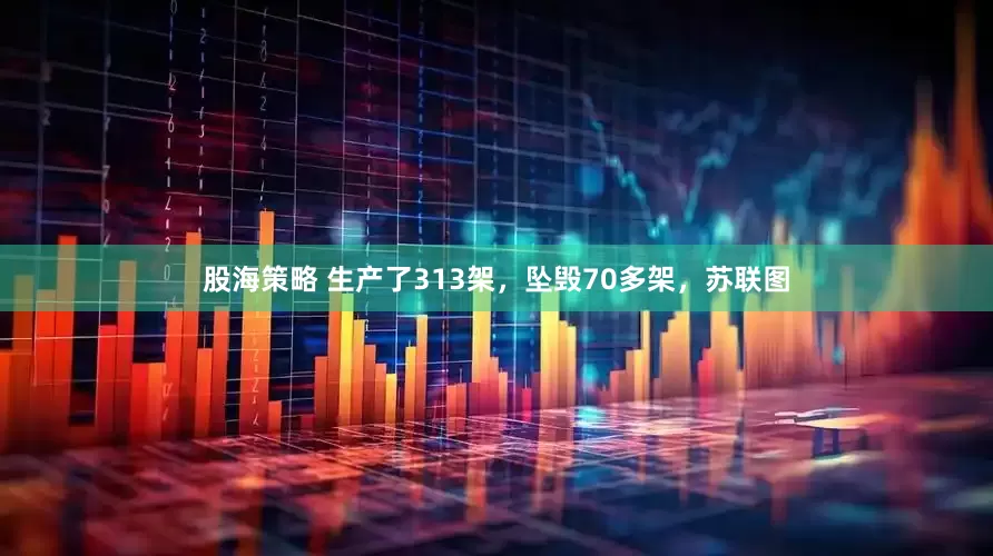 股海策略 生产了313架，坠毁70多架，苏联图