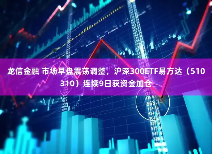 龙信金融 市场早盘震荡调整，沪深300ETF易方达（510310）连续9日获资金加仓